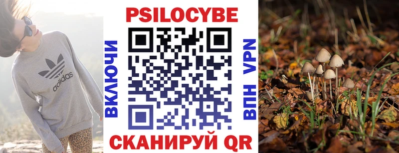 Псилоцибиновые грибы Psilocybine cubensis  Вышний Волочёк 